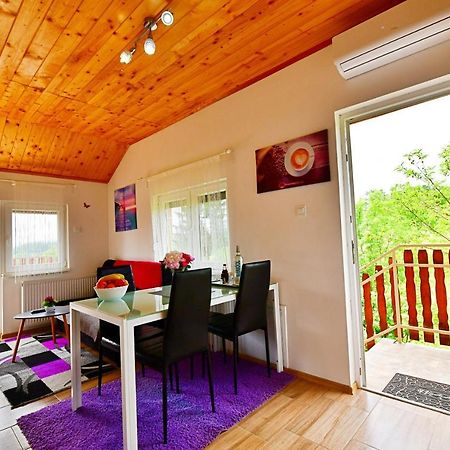Apartments Laura Раковица Екстериор снимка