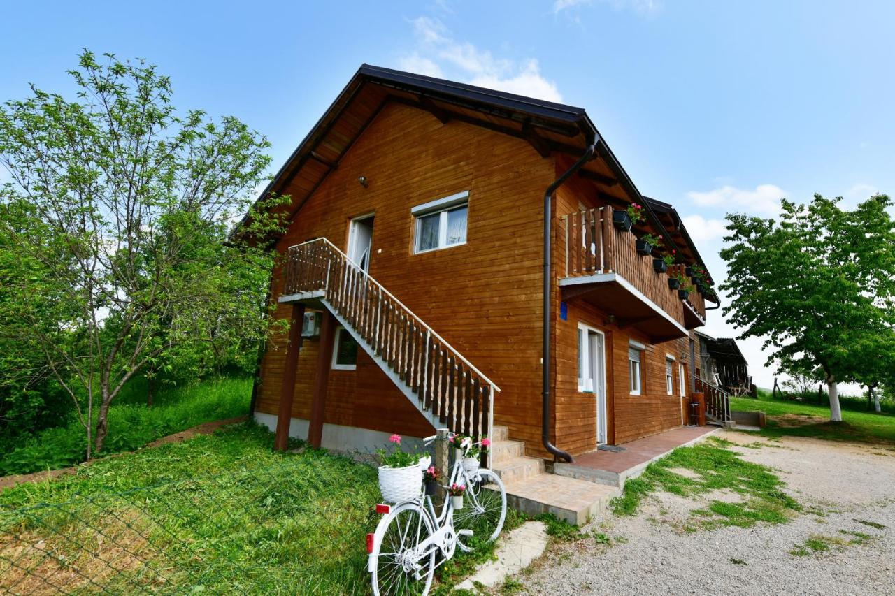 Apartments Laura Раковица Екстериор снимка