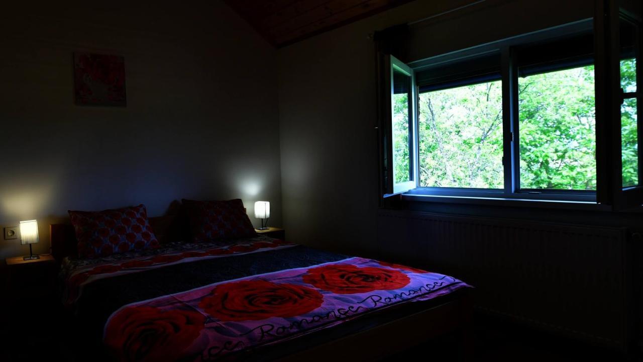 Apartments Laura Раковица Екстериор снимка